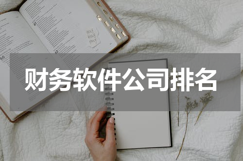财务软件公司排名