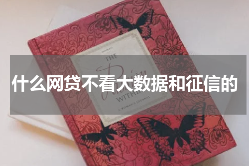 什么网贷不看大数据和征信的