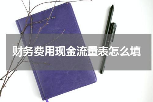 财务费用现金流量表怎么填