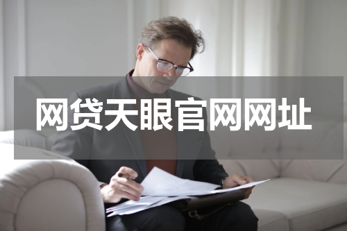 网贷天眼官网网址