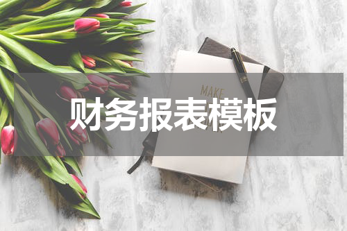 财务报表模板
