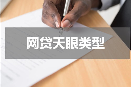 网贷天眼类型