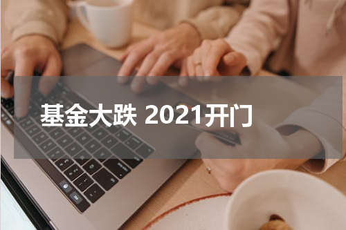 基金大跌 2021开门
