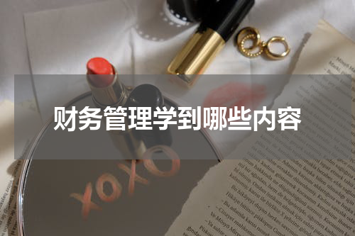 财务管理学到哪些内容