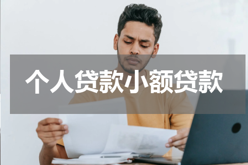个人贷款小额贷款