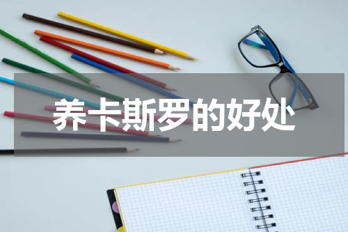 养卡斯罗的好处