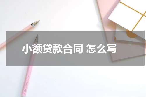 小额贷款合同 怎么写