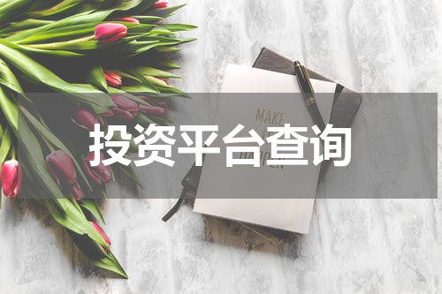 投资平台查询