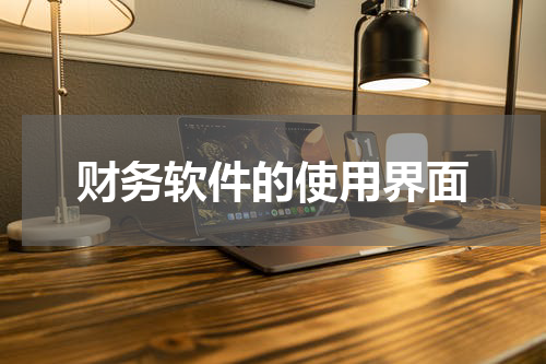 财务软件的使用界面
