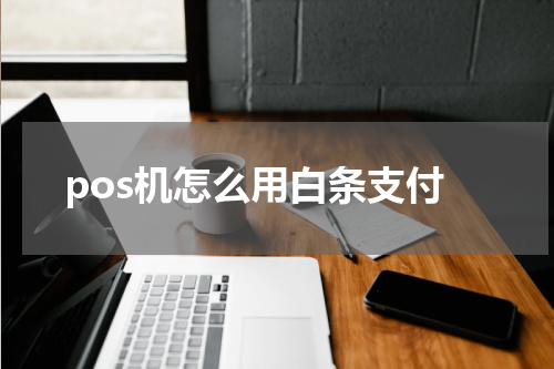 pos机怎么用白条支付