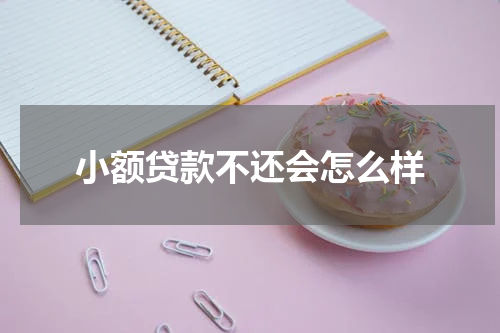 小额贷款不还会怎么样
