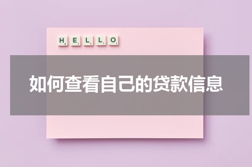 如何查看自己的贷款信息