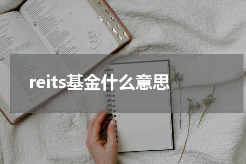 reits基金什么意思