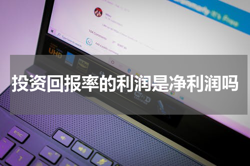 投资回报率的利润是净利润吗