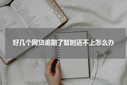 好几个网贷逾期了暂时还不上怎么办