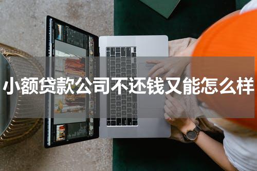 小额贷款公司不还钱又能怎么样