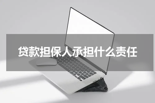 贷款担保人承担什么责任