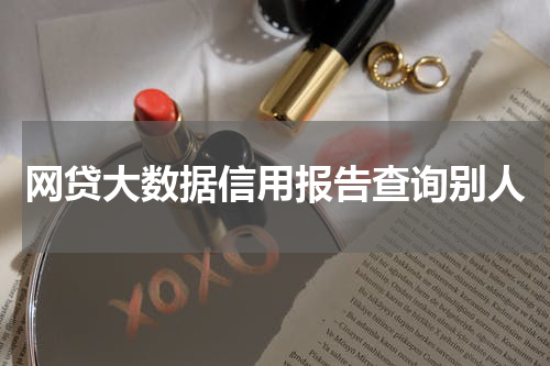 网贷大数据信用报告查询别人