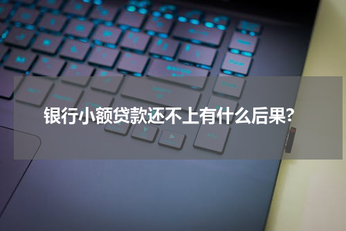 银行小额贷款还不上有什么后果?
