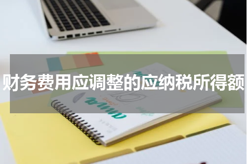 财务费用应调整的应纳税所得额