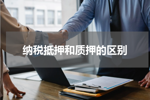 纳税抵押和质押的区别