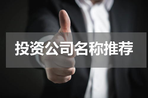 投资公司名称推荐