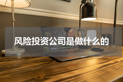 风险投资公司是做什么的