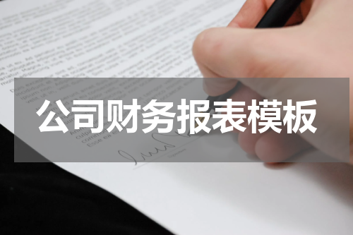公司财务报表模板