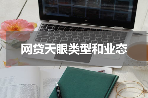 网贷天眼类型和业态