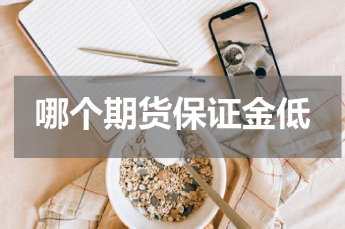 哪个期货保证金低