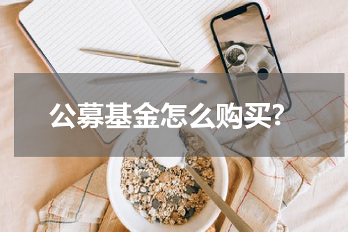 公募基金怎么购买?