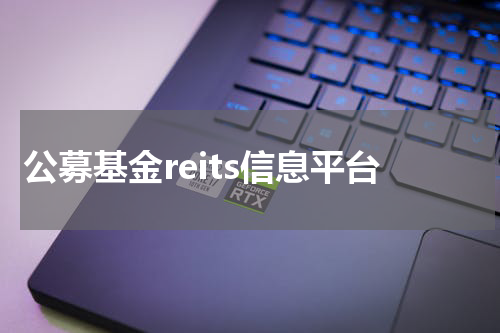 公募基金reits信息平台
