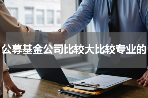 公募基金公司比较大比较专业的