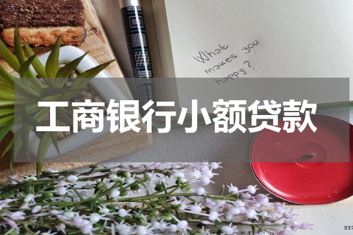 工商银行小额贷款