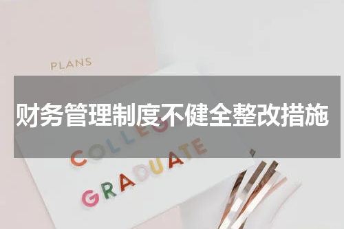 财务管理制度不健全整改措施