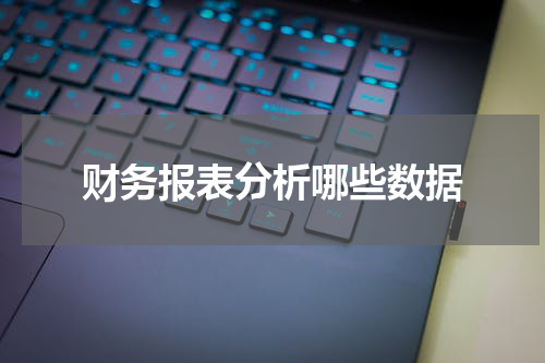财务报表分析哪些数据