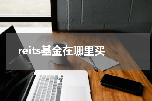 reits基金在哪里买