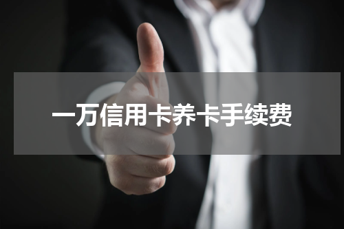 一万信用卡养卡手续费
