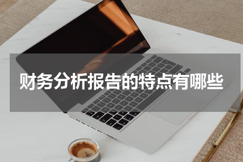 财务分析报告的特点有哪些