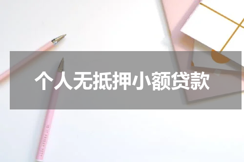 个人无抵押小额贷款