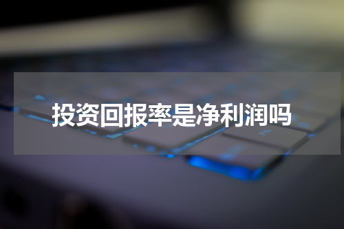 投资回报率是净利润吗