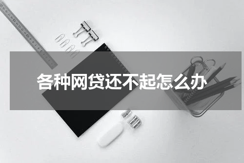 各种网贷还不起怎么办
