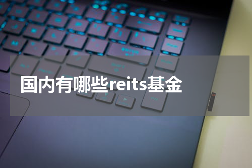 国内有哪些reits基金