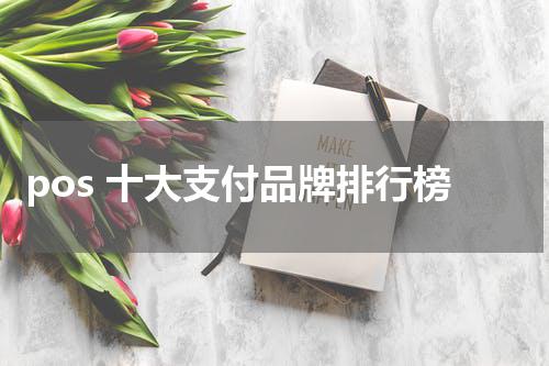 pos 十大支付品牌排行榜