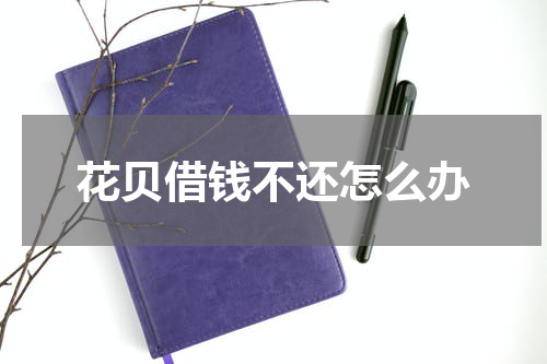 花贝借钱不还怎么办