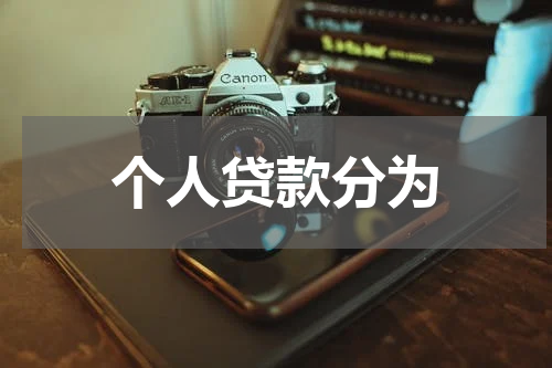 个人贷款分为