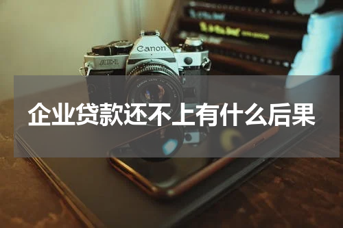 企业贷款还不上有什么后果