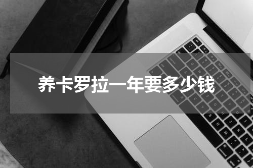 养卡罗拉一年要多少钱