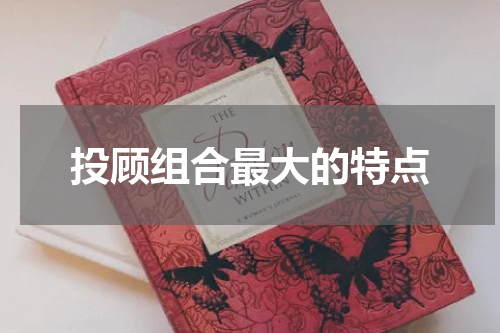 投顾组合最大的特点
