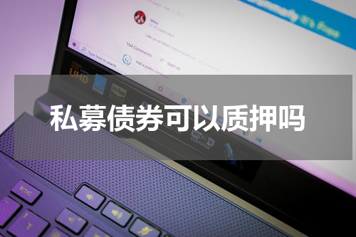 私募债券可以质押吗